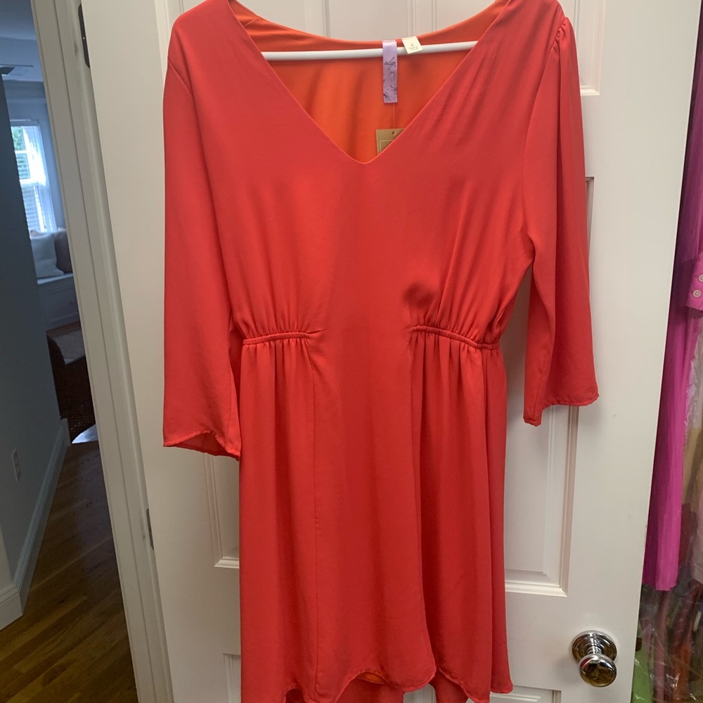 NWT- Francesca’s Dress